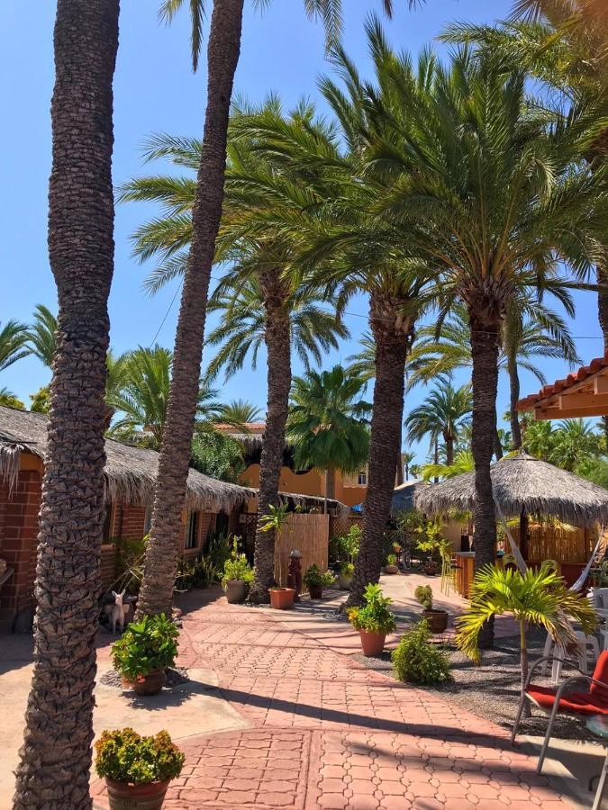 Sukasa Bungalows Loreto  Extérieur photo